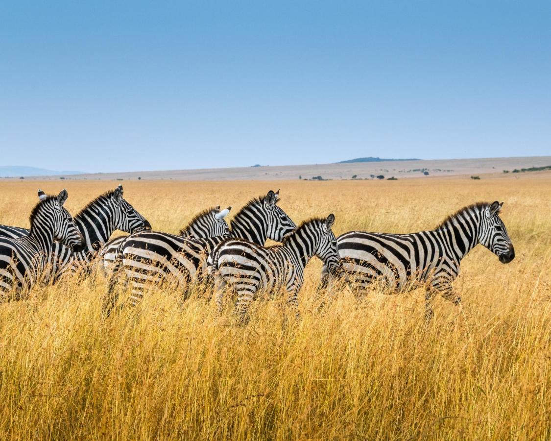Kudu Safari Camp Koito